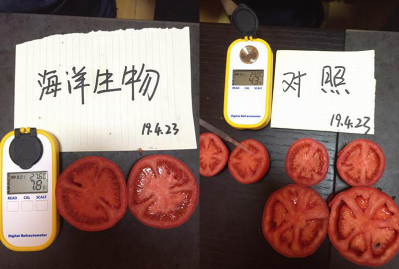 1557455997580459.jpg 圖片2_副本.jpg