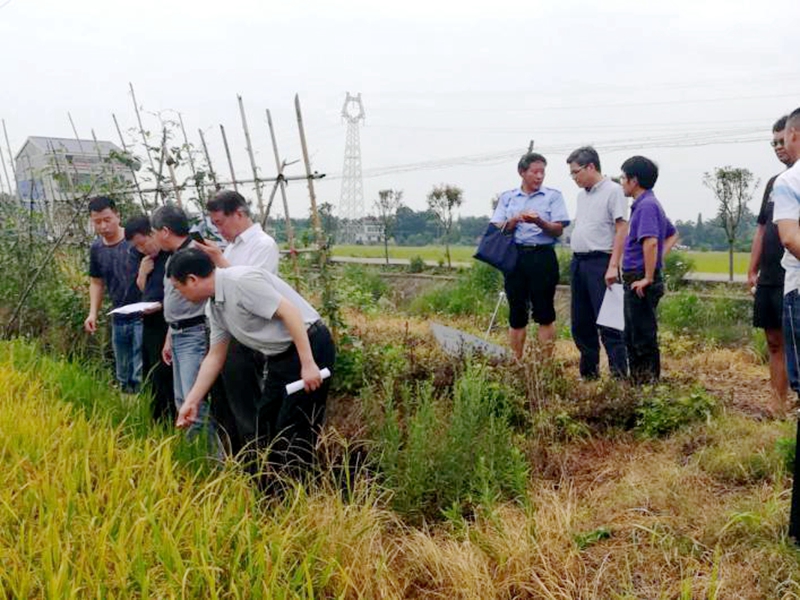 浙農金泰攜&ldquo;懷農特&rdquo;產品助力國家重點研發計劃課題