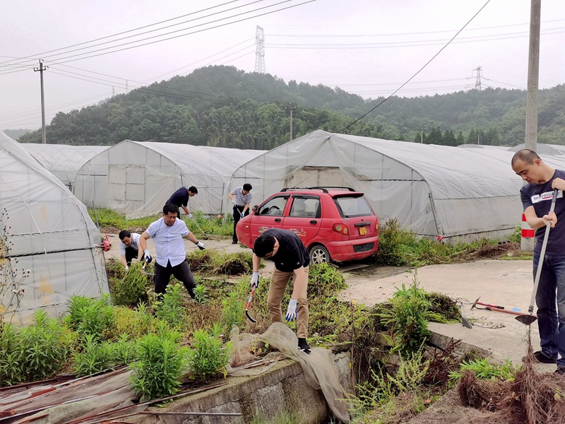 行動踐初心 除草助農忙&mdash;&mdash;集團第三黨支部開展主題黨日黨員實踐活動