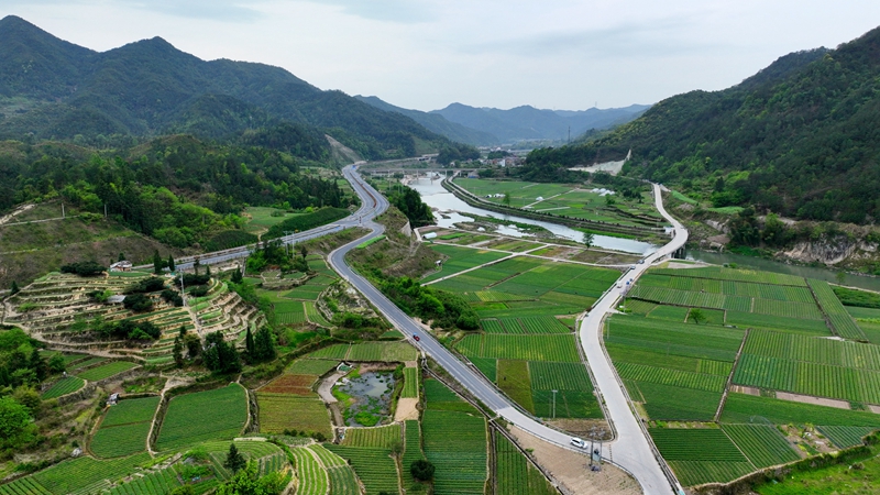浙農浙貝母、杭白菊基地通過中藥材GAP延伸檢查