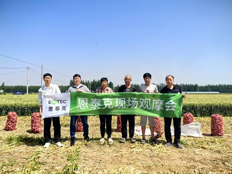 愛(ài)普科技舉行恩泰克大蒜測(cè)產(chǎn)現(xiàn)場(chǎng)會(huì)
