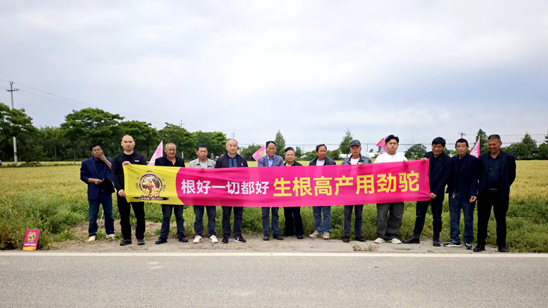 嘉興浙農(nóng)禾豐組織召開(kāi)勁駝小麥現(xiàn)場(chǎng)觀摩會(huì)